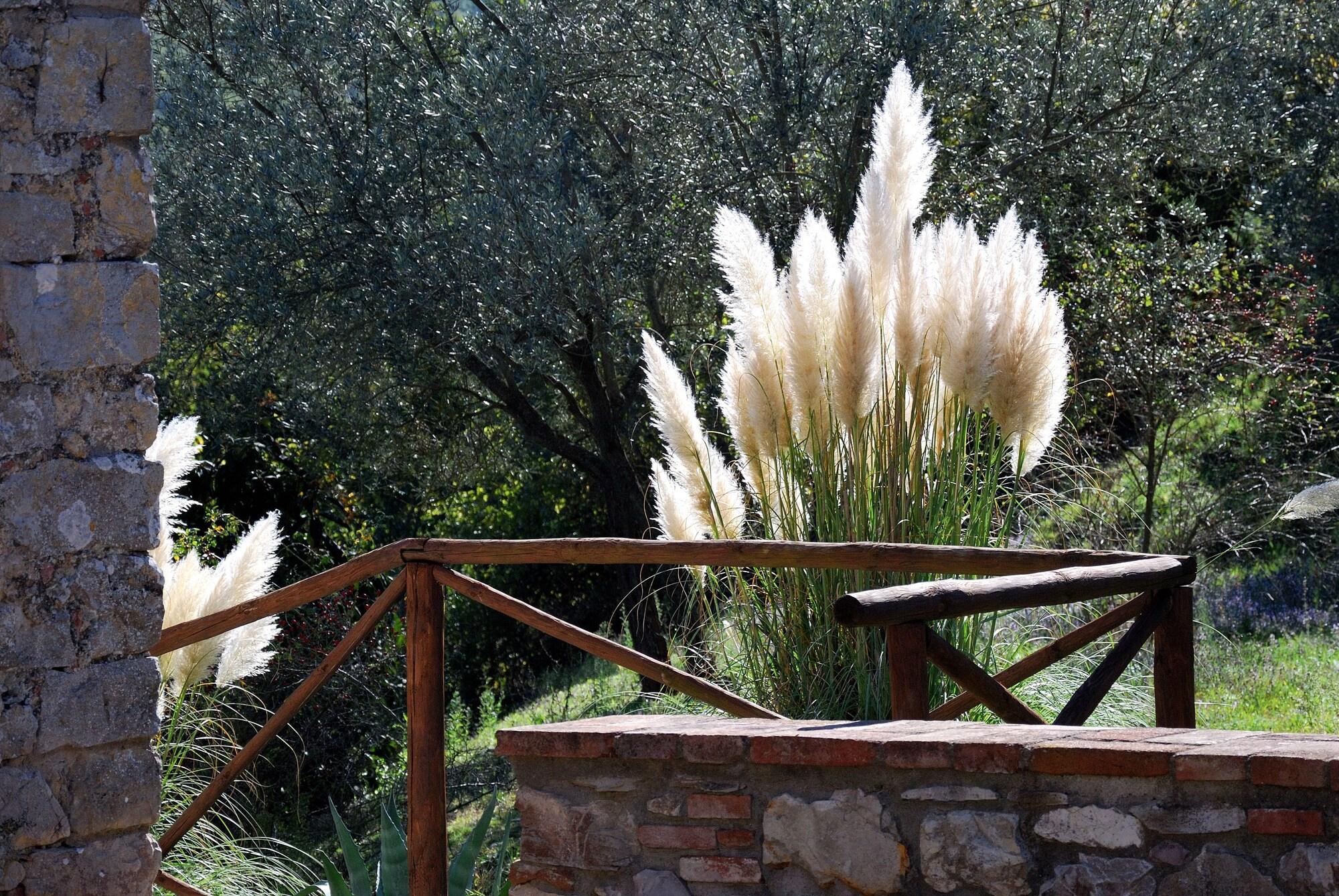 Tenuta Di Ricavo Castellina in Chianti Eksteriør bilde